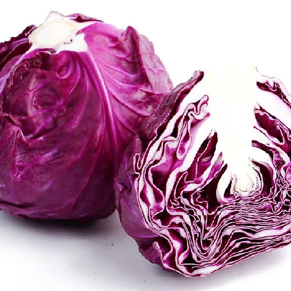 Bắp cải tím