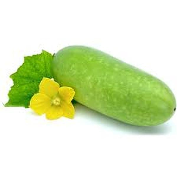 Bí đao