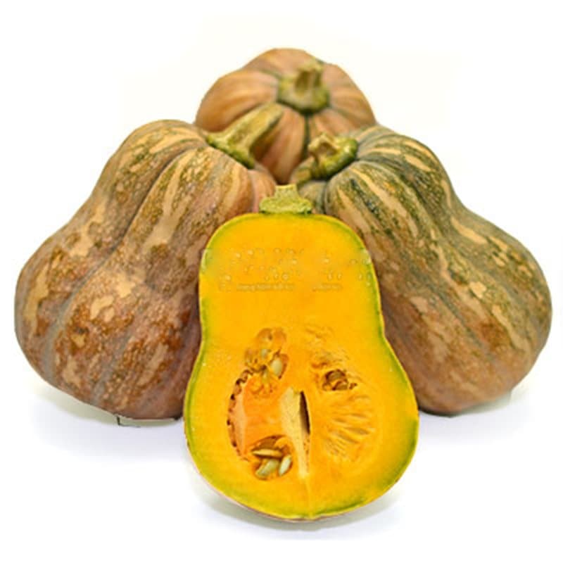 Bí đỏ hồ lô