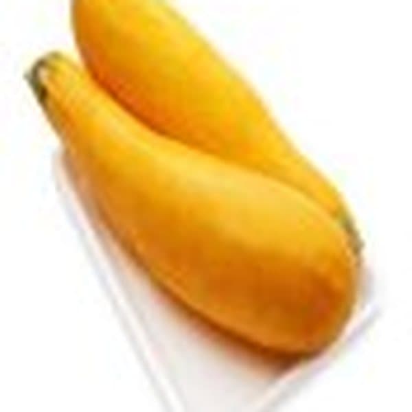 Bí ngòi vàng