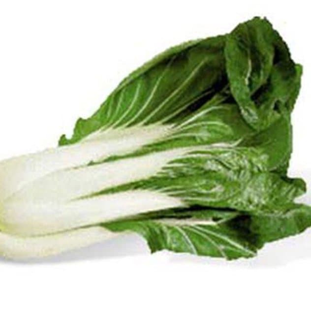 Cải bẹ trắng