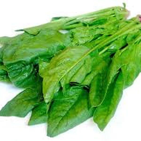 Cải bó xôi