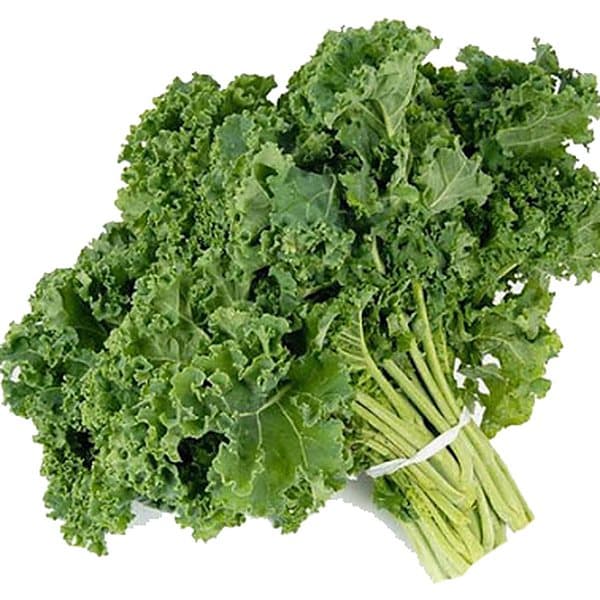 Cải xoăn kale