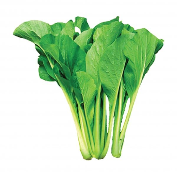 Cải ngọt