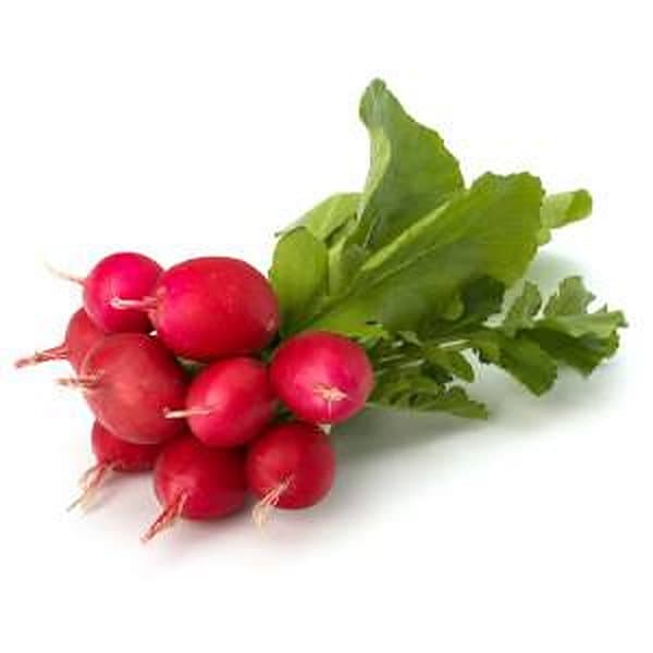 Củ cải đỏ radish