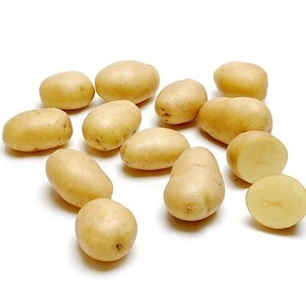 Khoai tây bi