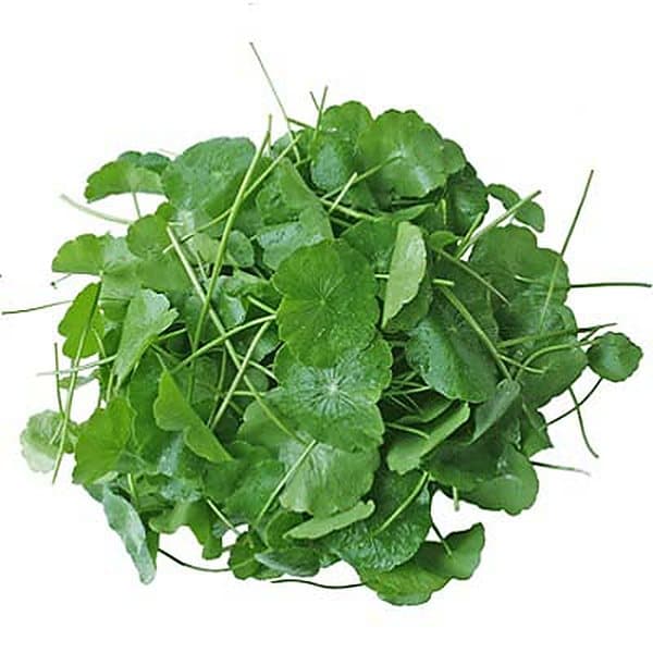 Rau má