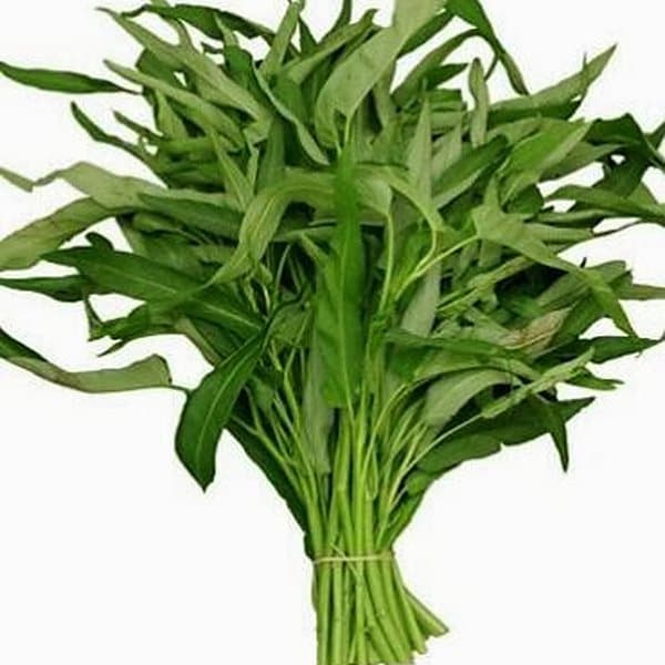 Rau muống