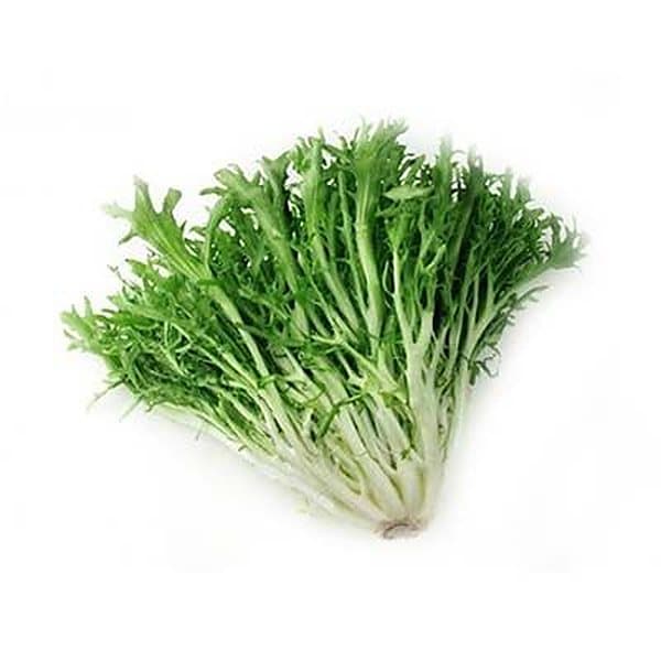 Xà lách frisée