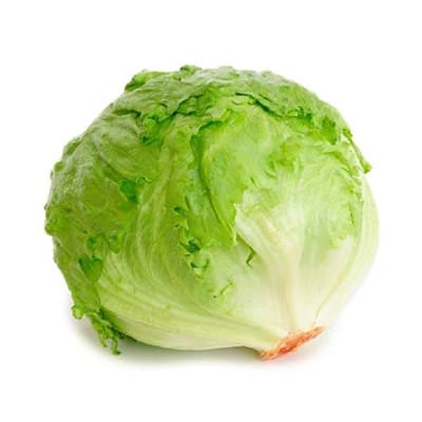 Xà lách Mỹ