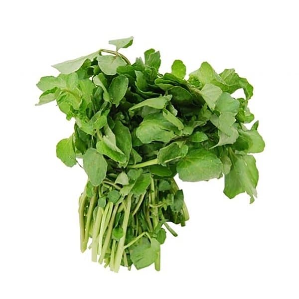 Xà lách xoong